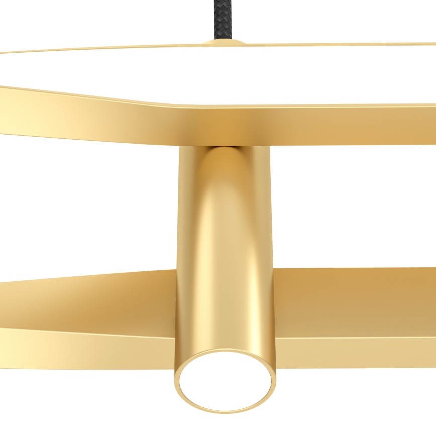 Eglo - LED-hänglampa på vajer LED/21W/230V guldig