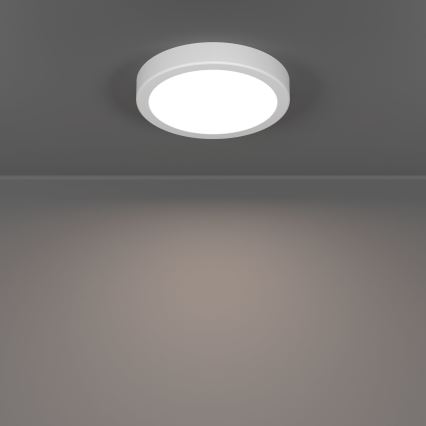 Eglo - LED-taklampa LED/7,5W/230V 2700/4000/6500K Ø 16,6 cm vit
