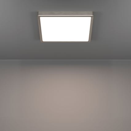 Eglo - LED taklampa LED/13W/230V 2700/4000/6500K 29x29 cm mattkrom