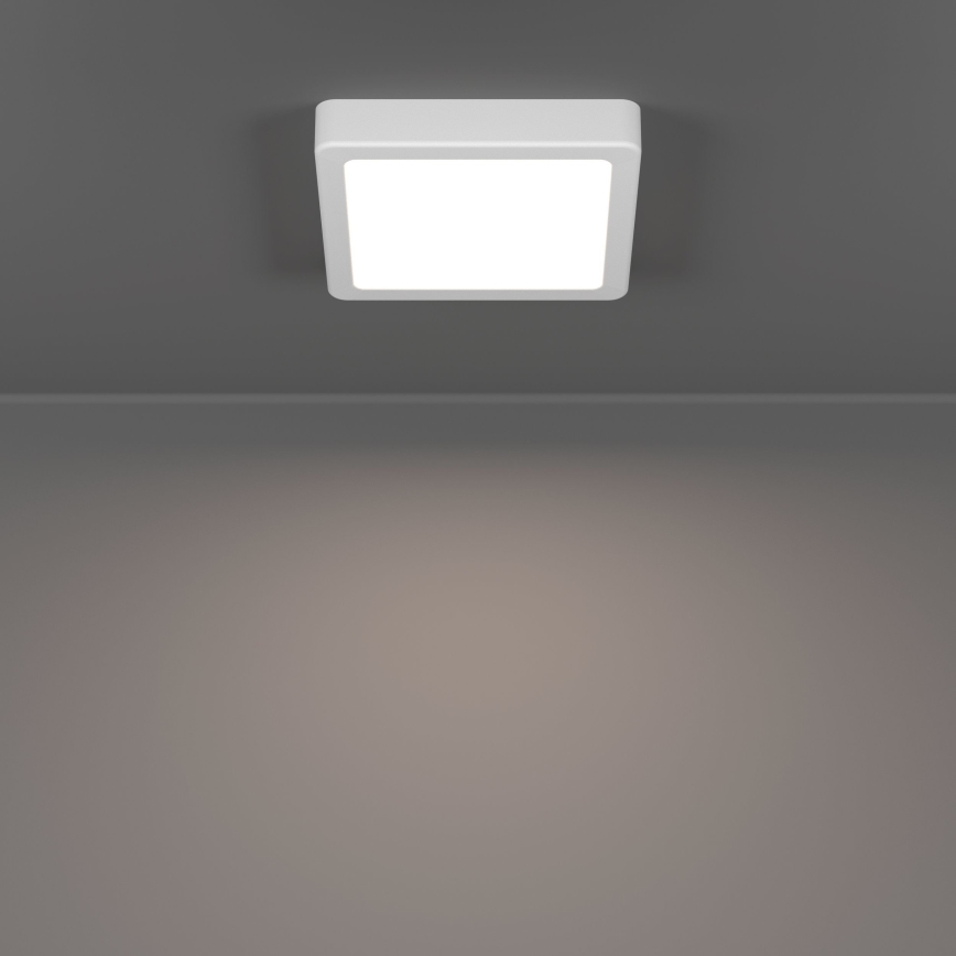 Eglo - LED badrumstaklampa LED/7W/230V 15x15 cm IP44 vit