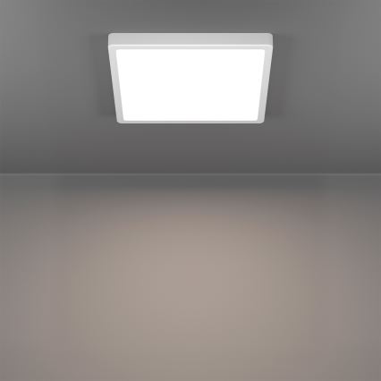 Eglo - LED RGBW dimbar badrumsplafond LED/13,5W/230V 2700-6500K 29,5x29,5 cm IP44 vit