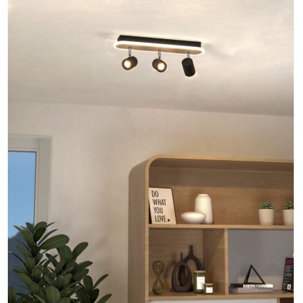 Eglo - LED-spotlampa LED/20W/230V brun/svart