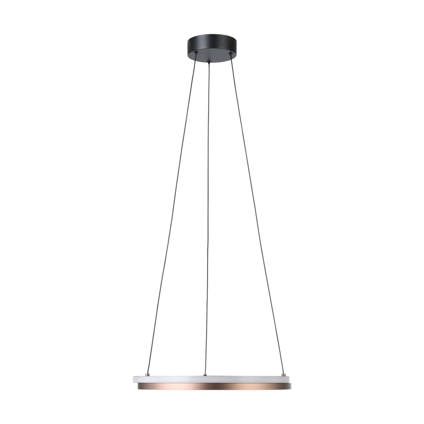 Eglo - Dimbar LED-hänglampa på vajer 2xLED/20W/230V 2700-6500K pr. 48 cm brons + fjärrkontroll