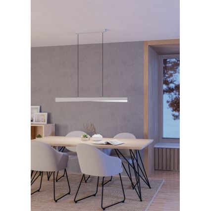 Eglo - LED RGBW dimbar pendellampa med vajer LED/19W/230V 2700-6500K grå