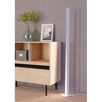 Eglo - LED RGBW dimmbar golvlampa LED/10,5W/230V + LED/15,2W 2700-6500K grå