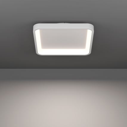 Eglo - LED RGBW dimmbar taklampa LED/20W/230V 2700-6500K 35x35 cm vit