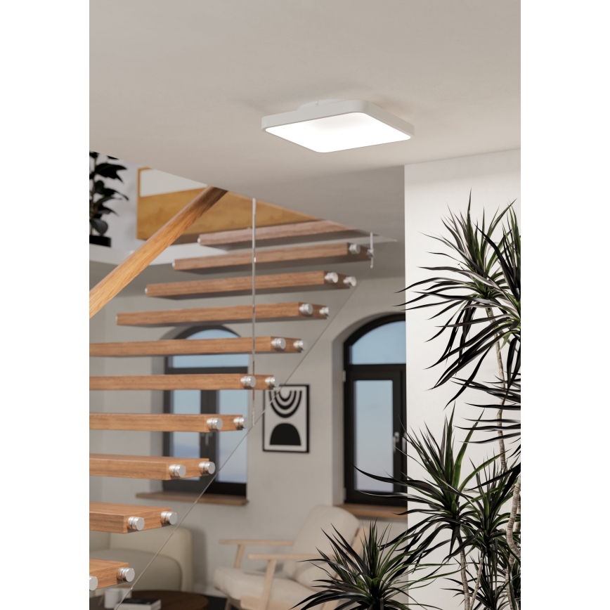 Eglo - LED RGBW dimmbar taklampa LED/20W/230V 2700-6500K 35x35 cm vit