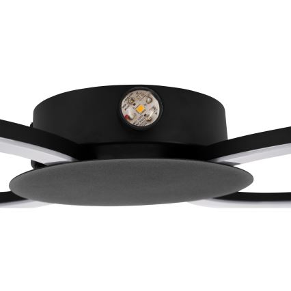 Eglo - LED-vägglampa LED/20W/230V + LED/0,91W svart