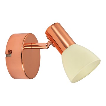 Eglo 94736 - LED-spotlampa GLOSSY 2 LED/5W/230V