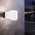 Eglo 95077 - Utomhus vägglampa BRIONES 2xLED/3W/230V IP44