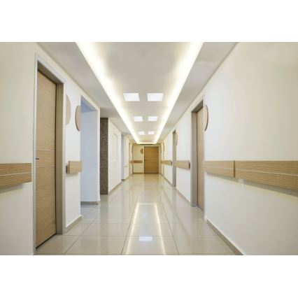 Eglo 96152 - LED takpanel SALOBRENA LED/16W/230V