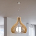 Eglo 96215 - Taklampa TINDORI 1xE27/60W/230V