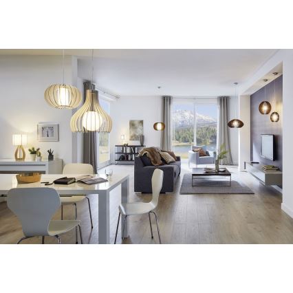 Eglo 96215 - Taklampa TINDORI 1xE27/60W/230V