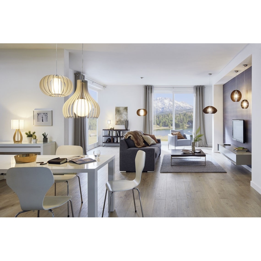 Eglo 96215 - Taklampa TINDORI 1xE27/60W/230V