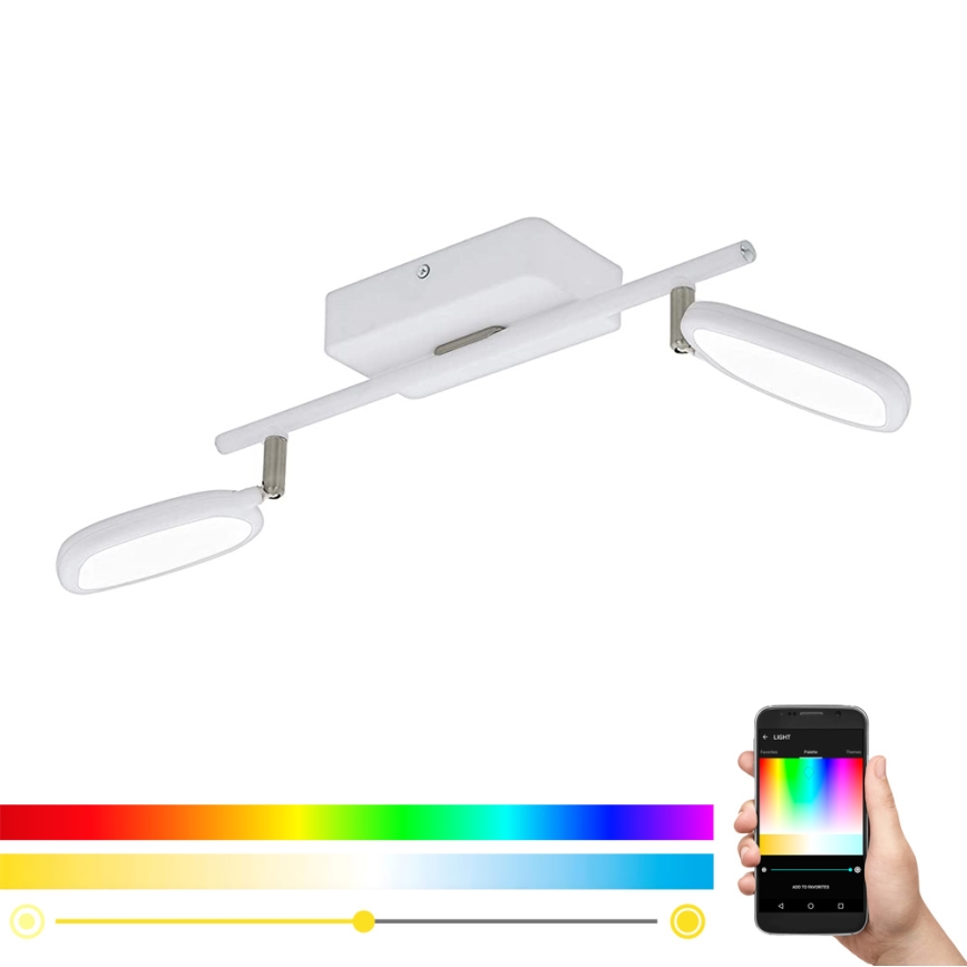 Eglo 97692 - LED RGB Spotlampa PALOMBARE-C 2xLED/5W/230V