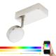 Eglo 97714 - LED RGB Dimbar spotlight CORROPOLI-C LED/5W/230V
