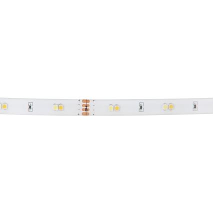 Eglo - RGB LED-dimbart LED-remsa/10W/230V IP20 2m