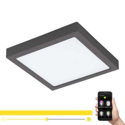 Eglo - LED Dimbart utomhusbelysning ARGOLIS-C LED/22W/230V IP44 Bluetooth