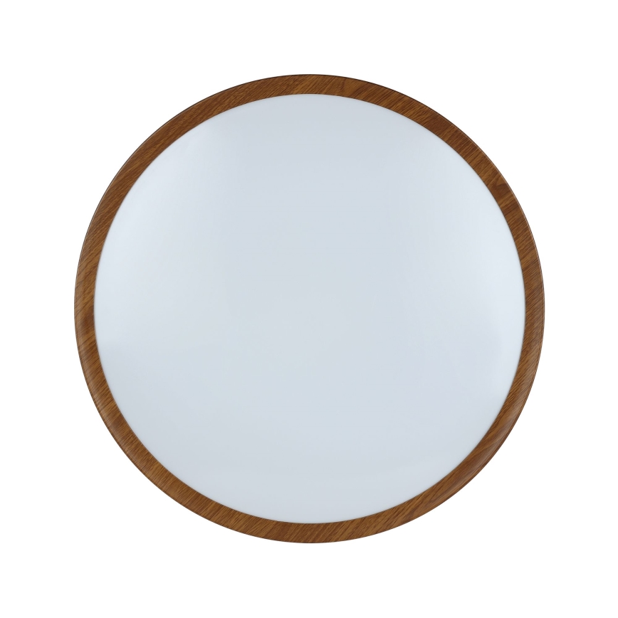 Eglo 98602 - LED Takbelysning MUSURITA LED/33,5W/230V