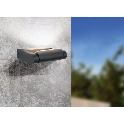 Eglo 98707 - LED Utomhus Väggbelysning BRIANZA LED/4,8W/230V IP44