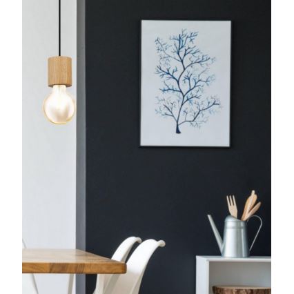 Eglo 99078 - Ljuskrona med snöre TURIALDO 1xE27/28W/230V