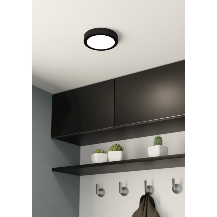 Eglo - LED taklampa LED/10,5 W/230 V Ø 16 cm