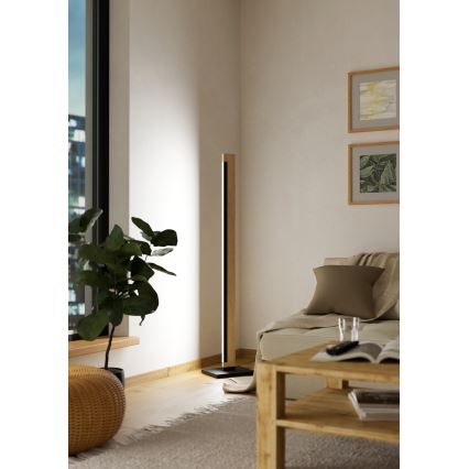 Eglo - LED Ljusreglerad beröring golvlampa CAMACHO LED/22W/230V