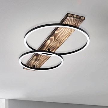 Eglo 99408 - LED Takbelysning BOYAL 2xLED/12W/230V