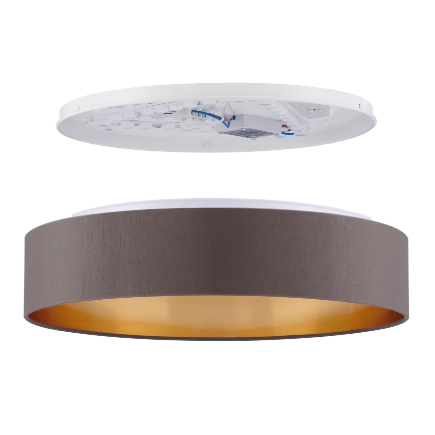Eglo 99542 - LED Takbelysning MASERLO LED/24W/230V