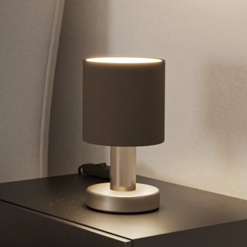 Eglo - Bordslampa 1xE14/40W/230V brun/matt krom