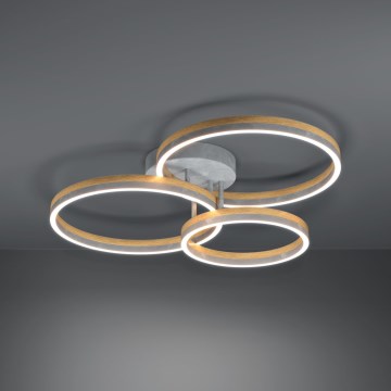 Eglo - Dimbar LED ytmonterad ljuskrona LED/12,5W/230V + 2xLED/15,5W 3000K grå/ek