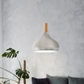 Eglo - Hänglampa på kabel 1xE27/60W/230V Ø 28 cm silverfärgad