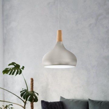 Eglo - Hänglampa på kabel 1xE27/60W/230V Ø 28 cm silverfärgad