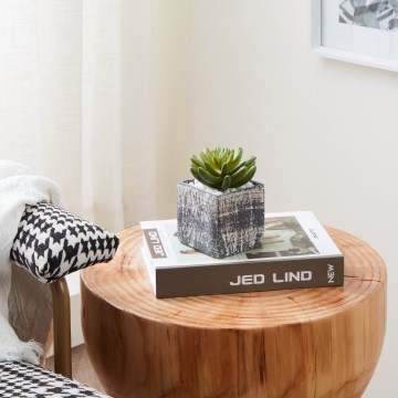 Eglo - Konstgjord växt i kruka 12x7,5 cm suckulent