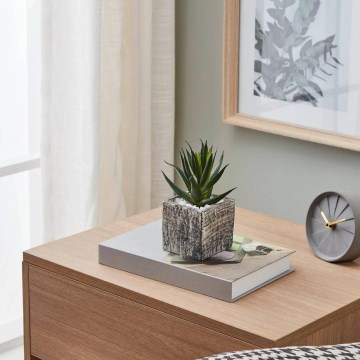 Eglo - Konstgjord växt i kruka 13x9,5 cm suckulent