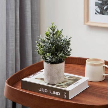 Eglo - Konstgjord växt i kruka 22x16 cm