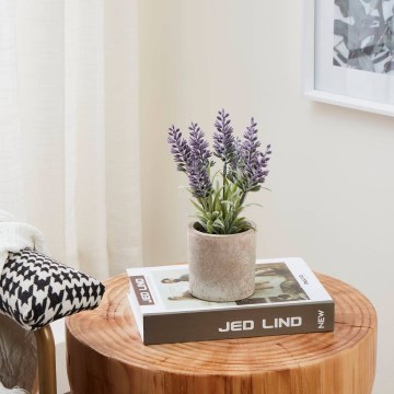 Eglo - Konstgjord växt i kruka 22x8 cm lavendel