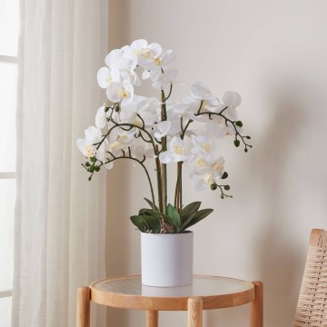 Eglo - Konstgjord växt i kruka 65x50 cm orkidé