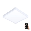 Eglo - LED dimbar badrumslampa LED/19,5W/230V 2700-6500K IP44 vit