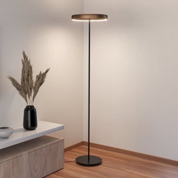 Eglo - LED dimmerbar golvlampa med rörelsesensor 2xLED/19W/230V 2200-6500K brun