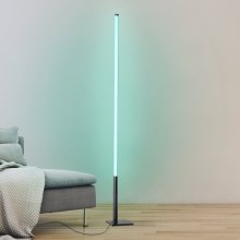 Eglo - LED RGB Ljusreglerad golvlampa LED/13,5W/230V 2700-6500K + fjärrkontroll