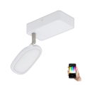 Eglo - LED RGB Spotbelysning PALOMBARE-C 1xLED/5W/230V