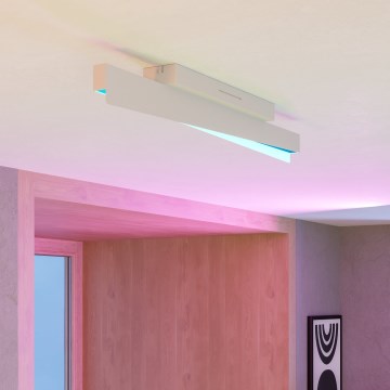 Eglo - LED RGBW dimbar taklampa LED/13W/230V 2700-6500K grå