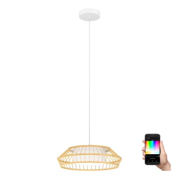 Eglo - LED RGBW Ljusreglerad ljuskrona på textilsladd LED/22W/230V 2700-6500K