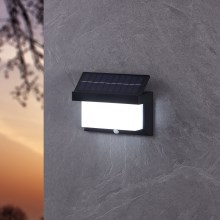 Eglo - LED solcell väggbelysning med sensor LED/3,84W/3,7V IP44