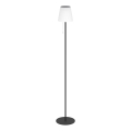 Eglo - LED solcellsdriven uppladdningsbar golvlampa LED/2,3W/3,7V 3000/4000/6500K 1800 mAh IP44 svart