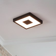 Eglo - LED taklampa för utomhusbruk LED/17W/230V IP44 svart