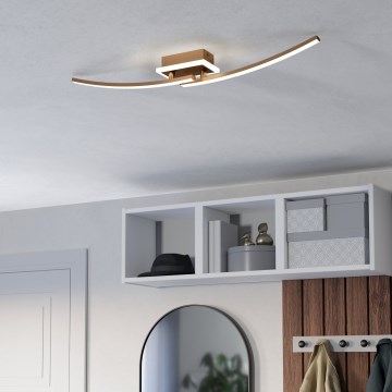 Eglo - LED taklampa LED/12W/230V 4000K koppar