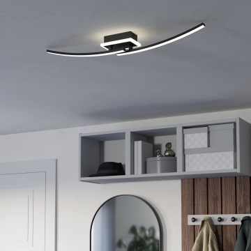 Eglo - LED taklampa LED/12W/230V 4000K svart