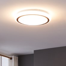 Eglo - LED taklampa LED/14,6W/230V
